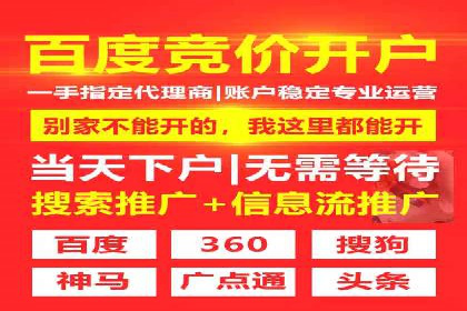 SEO百度推广策略：成功案例解析